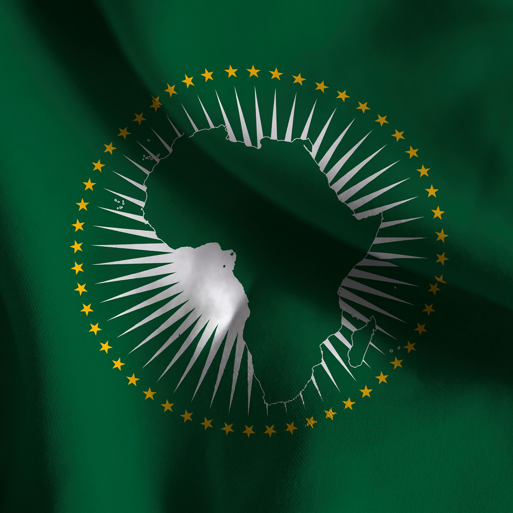 Africa Union'd weakness & problem